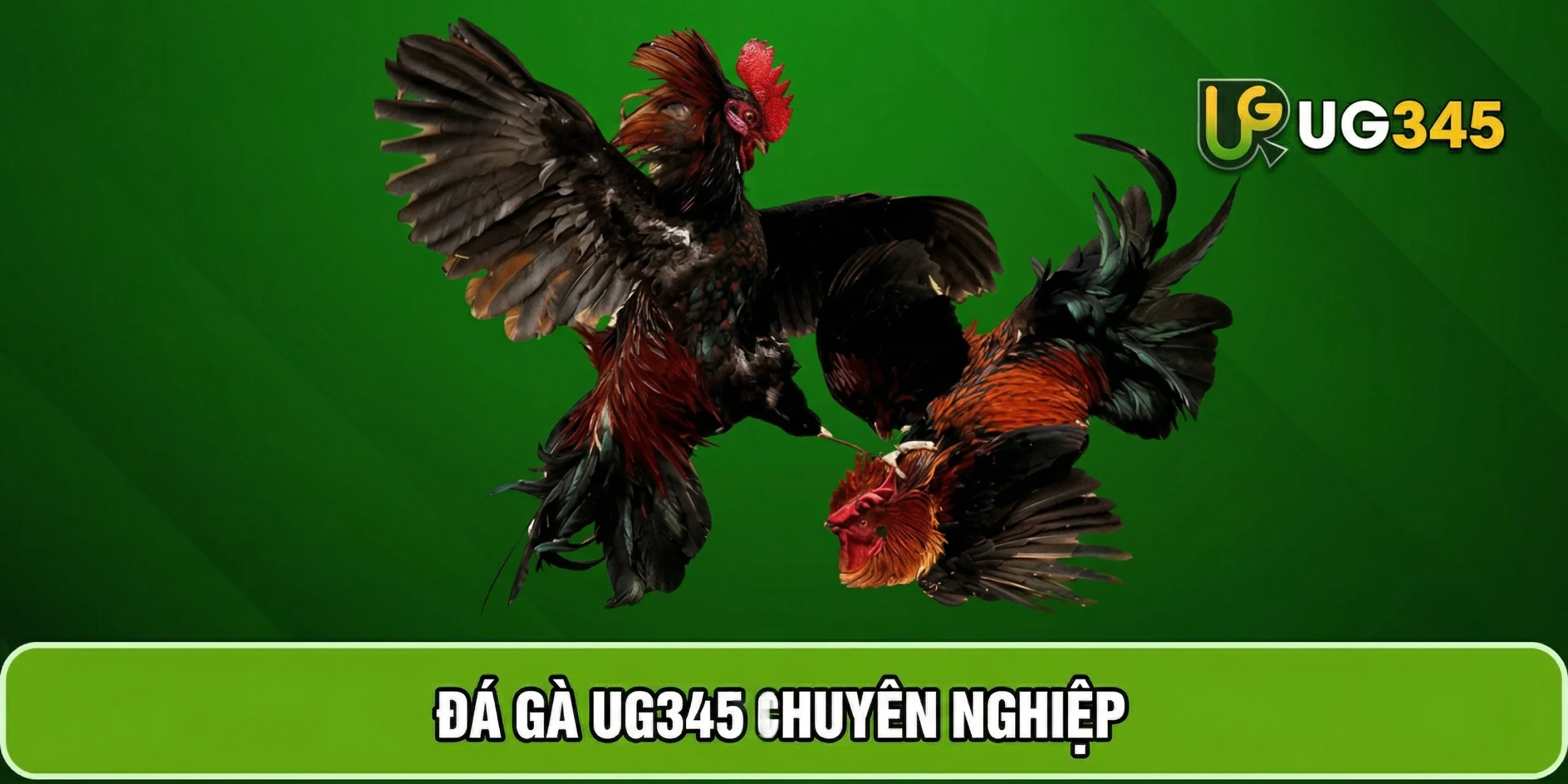 Hình ảnh sản phẩm đá gà