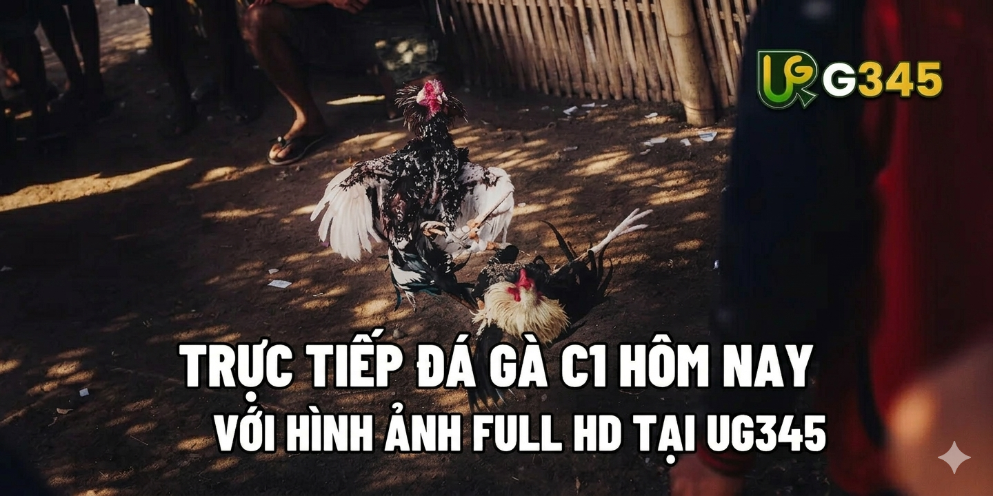 Tin tức