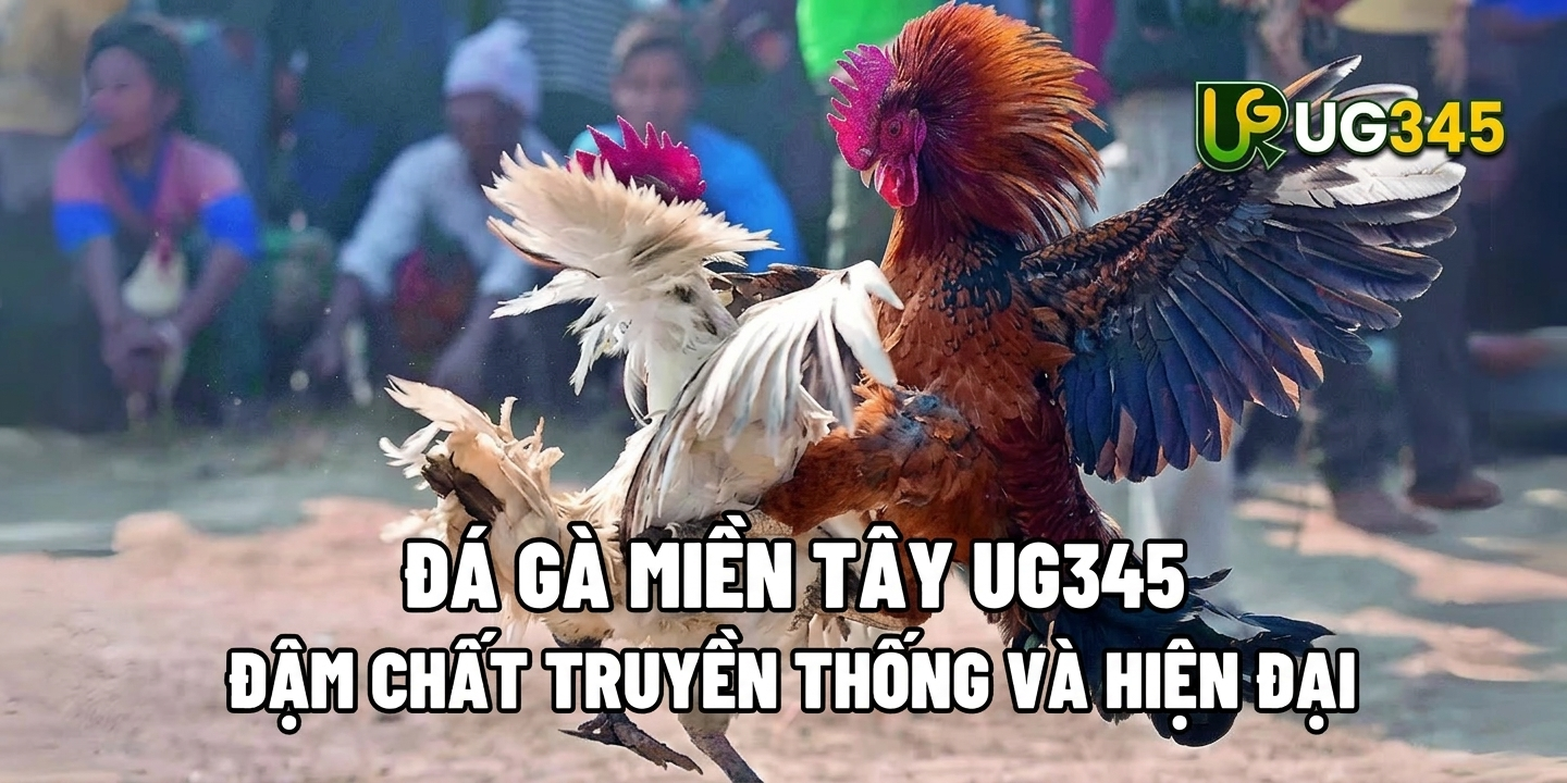 Tin tức